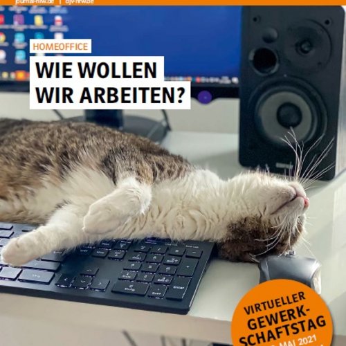 Titelbild JOURNAL 2/21 - Katze auf PC-Tastatur