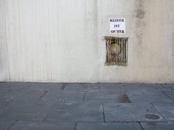 Grafitto "Keiner ist sicher" neben einem Gitter in der Wand.